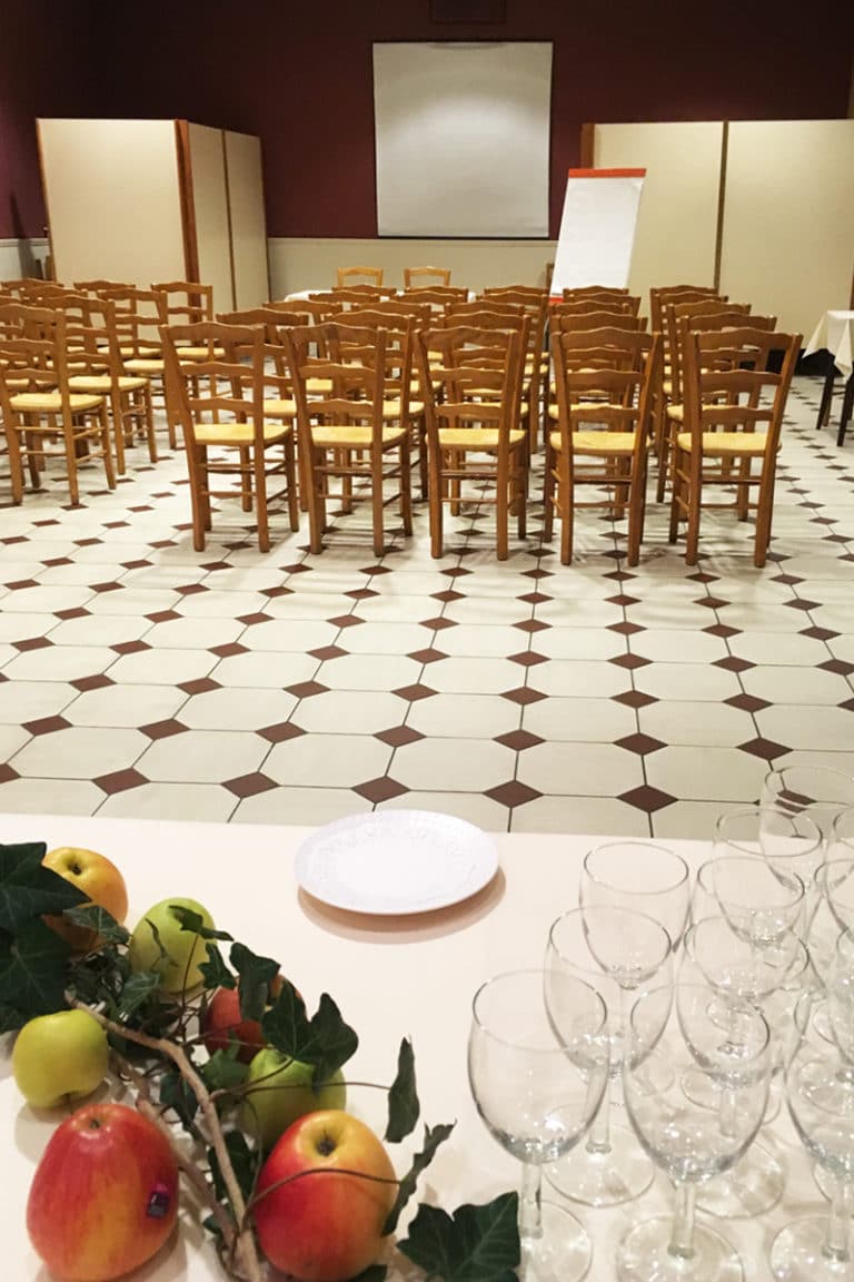 Aux vendanges de Bourgogne hotel restaurant Paray le Monial - salle de récetpion seminaire -3
